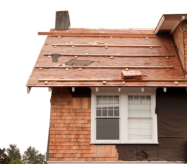 Affordable Siding Repair and Maintenance Services in Converse, TX